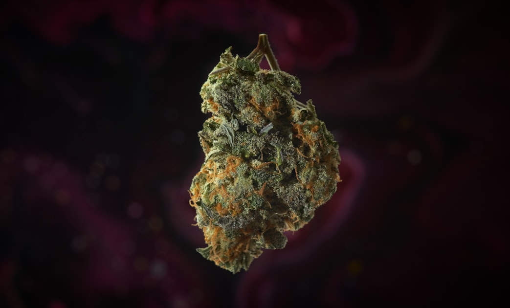 The Health Benefits of CBD and THC
