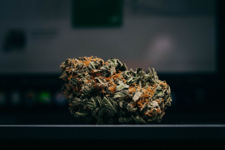 Understanding Marijuana: A Comprehensive Guide